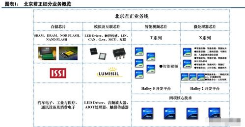 北京君正深度研究 车载IC平台成型,AIOT芯片迎来高增